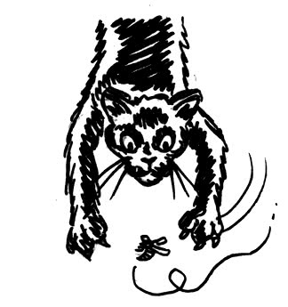 Иллюстрация к книге — Сердце из стекла. Откровения солистки Blondie [i_037.jpg]