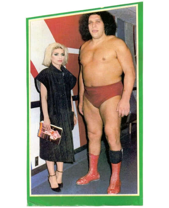 Иллюстрация к книге — Сердце из стекла. Откровения солистки Blondie [i_087.jpg]