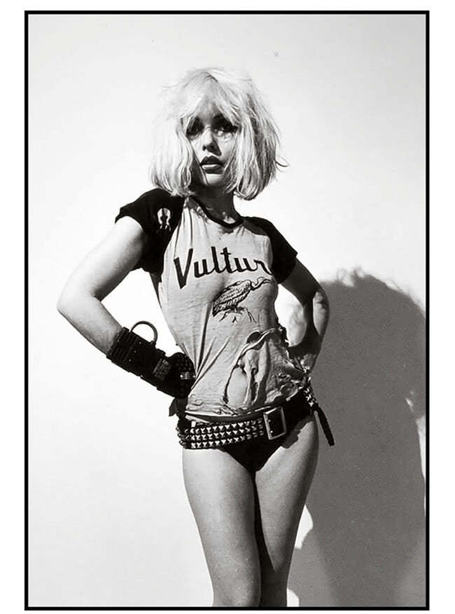 Иллюстрация к книге — Сердце из стекла. Откровения солистки Blondie [i_104.jpg]