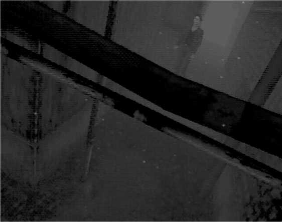 Иллюстрация к книге — Silent Hill. Навстречу ужасу. Игры и теория страха [i_014.jpg]