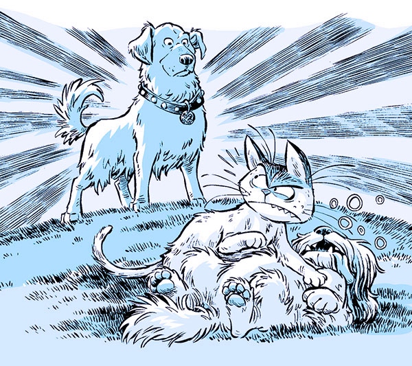 Иллюстрация к книге — Секрет звёздного пса [i_010.jpg]