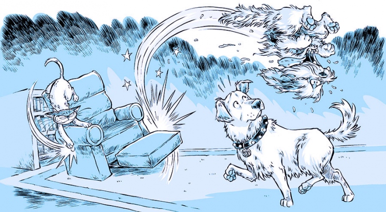 Иллюстрация к книге — Секрет звёздного пса [i_016.jpg]