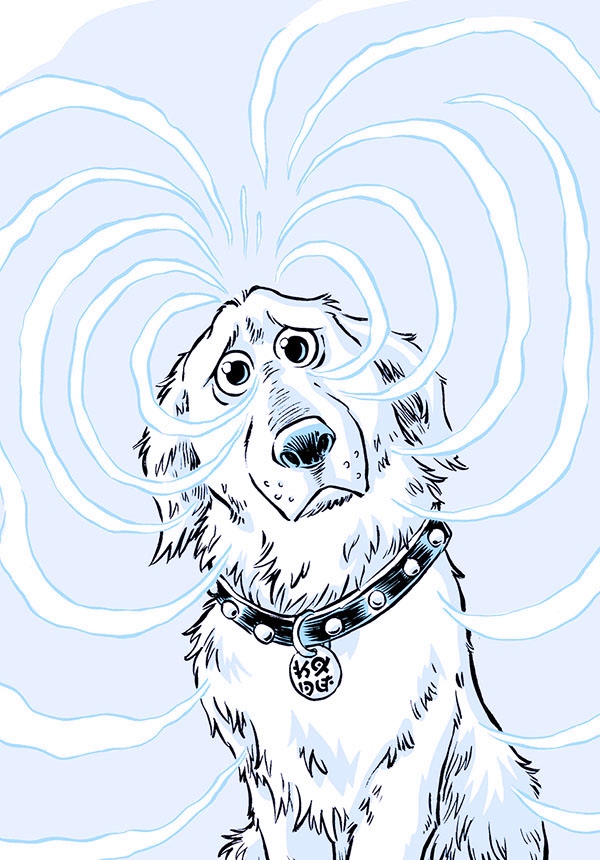 Иллюстрация к книге — Секрет звёздного пса [i_022.jpg]