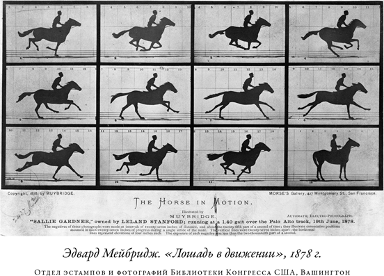 Иллюстрация к книге — Загадка падающей кошки и фундаментальная физика [i_012.jpg]