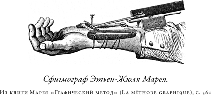 Иллюстрация к книге — Загадка падающей кошки и фундаментальная физика [i_014.jpg]