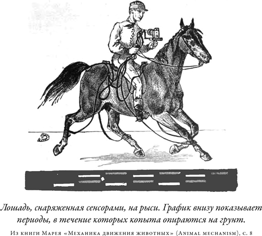 Иллюстрация к книге — Загадка падающей кошки и фундаментальная физика [i_015.jpg]