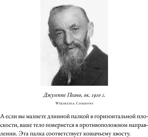 Иллюстрация к книге — Загадка падающей кошки и фундаментальная физика [i_029.jpg]