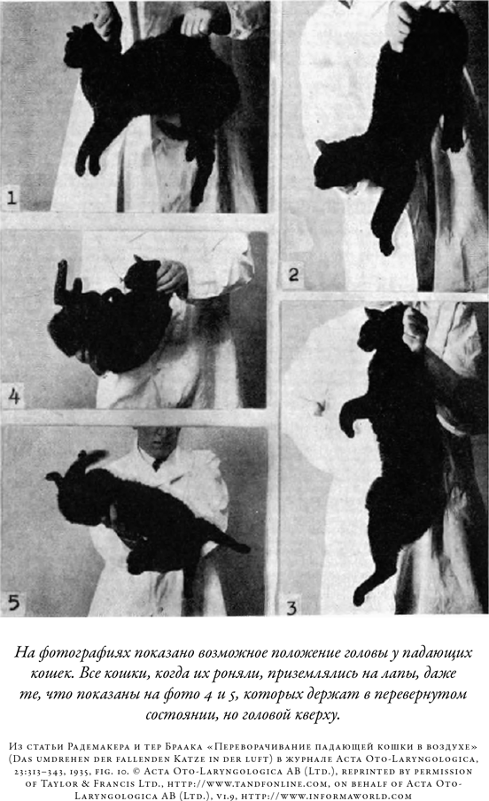 Иллюстрация к книге — Загадка падающей кошки и фундаментальная физика [i_038.jpg]