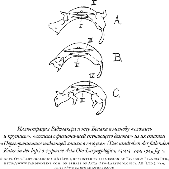 Иллюстрация к книге — Загадка падающей кошки и фундаментальная физика [i_040.jpg]