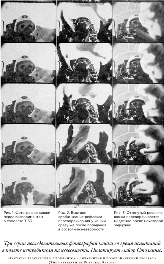 Иллюстрация к книге — Загадка падающей кошки и фундаментальная физика [i_047.jpg]