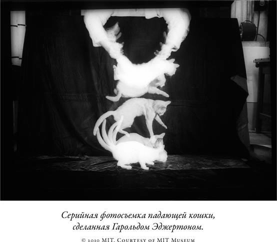 Иллюстрация к книге — Загадка падающей кошки и фундаментальная физика [i_055.jpg]