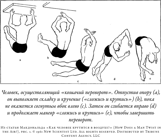 Иллюстрация к книге — Загадка падающей кошки и фундаментальная физика [i_064.jpg]