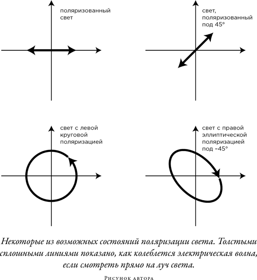 Иллюстрация к книге — Загадка падающей кошки и фундаментальная физика [i_067.jpg]