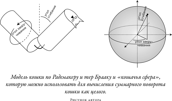 Иллюстрация к книге — Загадка падающей кошки и фундаментальная физика [i_070.jpg]