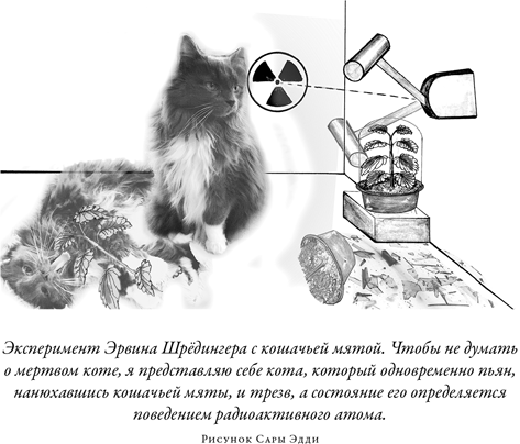 Иллюстрация к книге — Загадка падающей кошки и фундаментальная физика [i_073.jpg]
