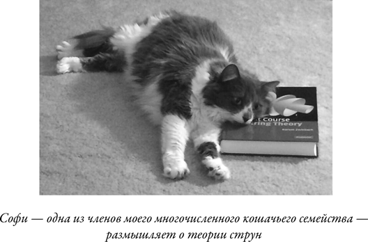 Иллюстрация к книге — Загадка падающей кошки и фундаментальная физика [i_077.jpg]