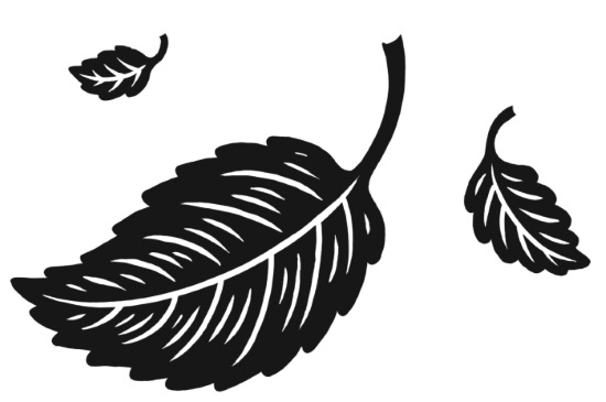 Иллюстрация к книге — Страна ночи [i_005.jpg]