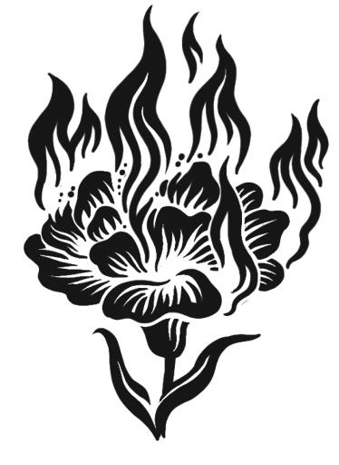 Иллюстрация к книге — Страна ночи [i_025.jpg]