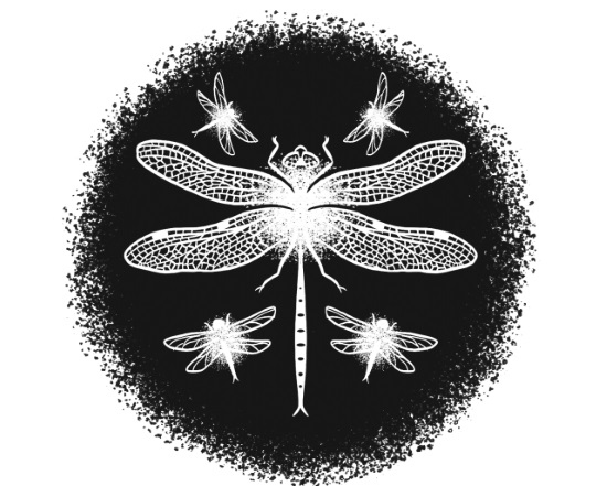 Иллюстрация к книге — Страна ночи [i_031.jpg]