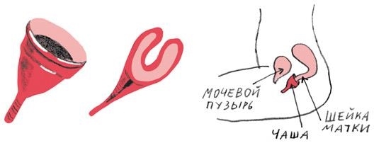 Иллюстрация к книге — Месячные – твоё личное приключение! [i_061.jpg]