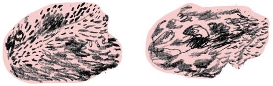 Иллюстрация к книге — Месячные – твоё личное приключение! [i_062.jpg]