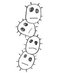 Иллюстрация к книге — Месячные – твоё личное приключение! [i_063.jpg]