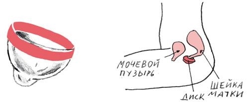 Иллюстрация к книге — Месячные – твоё личное приключение! [i_064.jpg]
