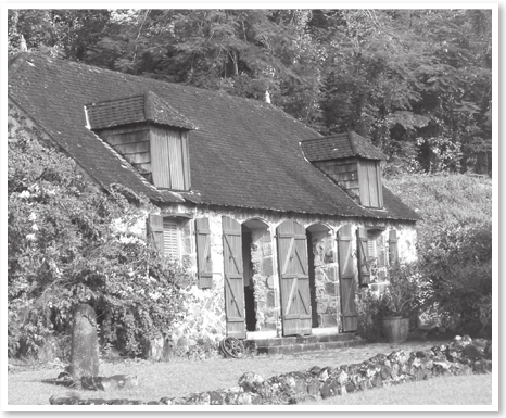 Иллюстрация к книге — Кто убил Жозефину? Тайна смерти жены Наполеона [i_001.jpg]