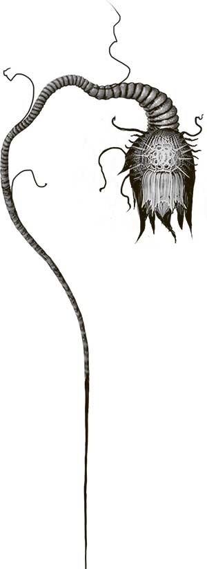 Иллюстрация к книге — Космология монстров [i_004.jpg]