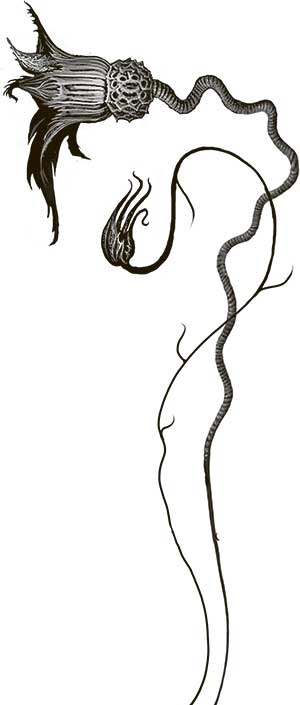 Иллюстрация к книге — Космология монстров [i_005.jpg]