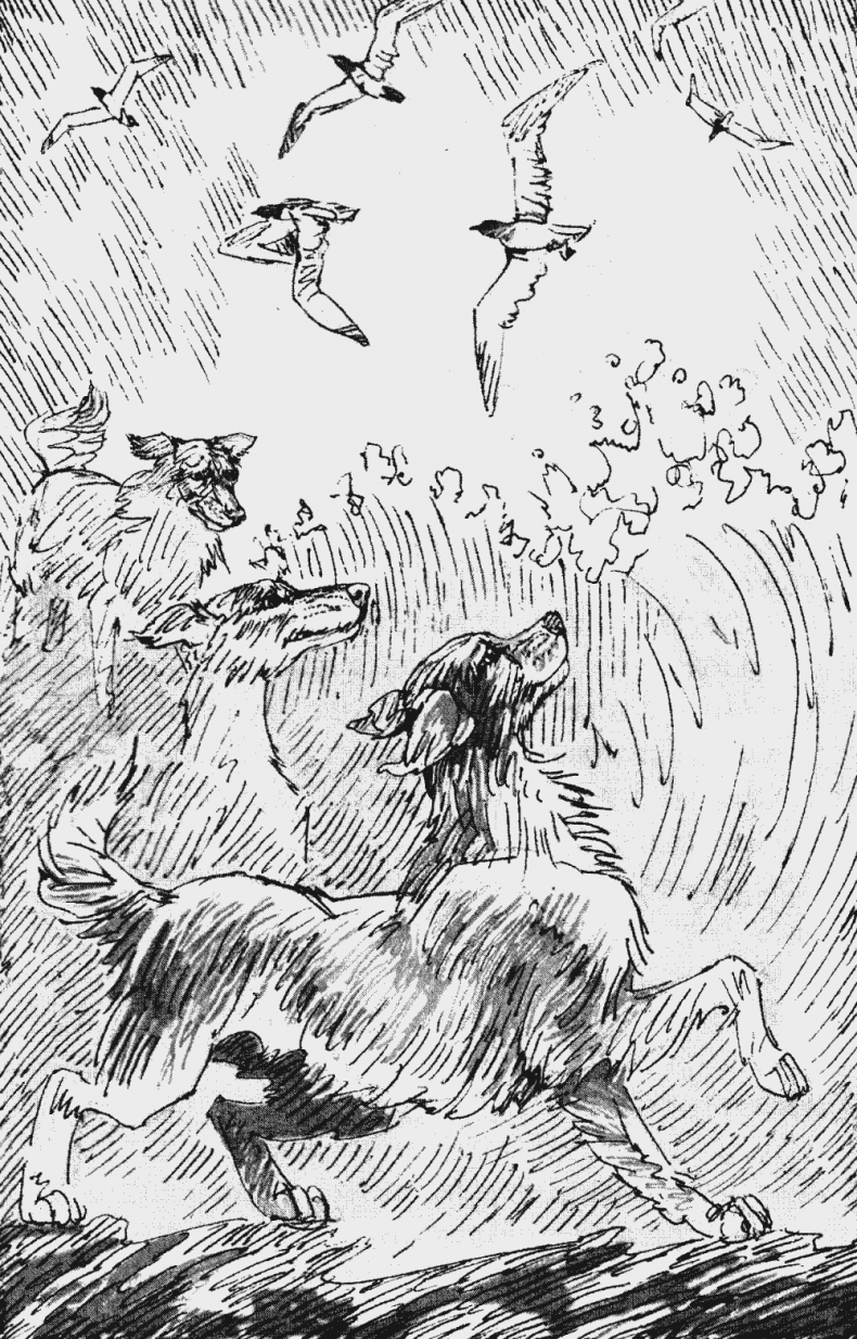 Иллюстрация к книге — Бескрайнее Озеро [i_004.jpg]