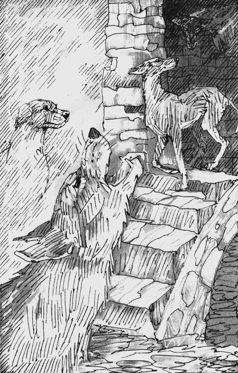 Иллюстрация к книге — Бескрайнее Озеро [i_005.jpg]