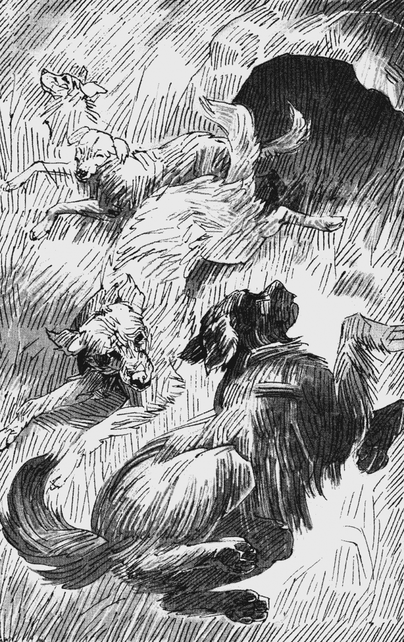 Иллюстрация к книге — Бескрайнее Озеро [i_006.jpg]