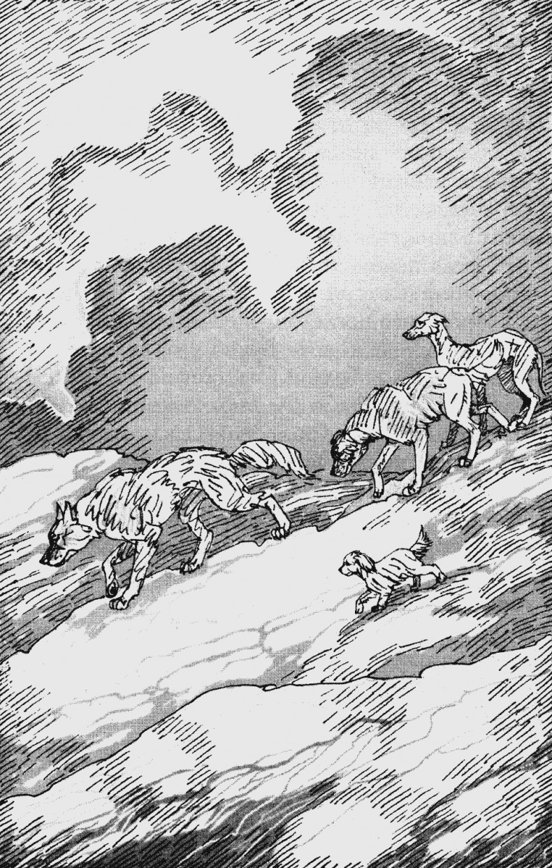 Иллюстрация к книге — Бескрайнее Озеро [i_007.jpg]