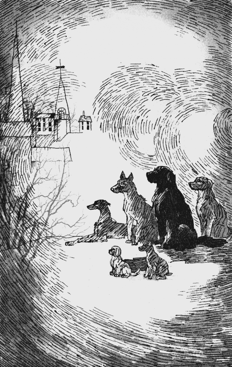 Иллюстрация к книге — Бескрайнее Озеро [i_010.jpg]