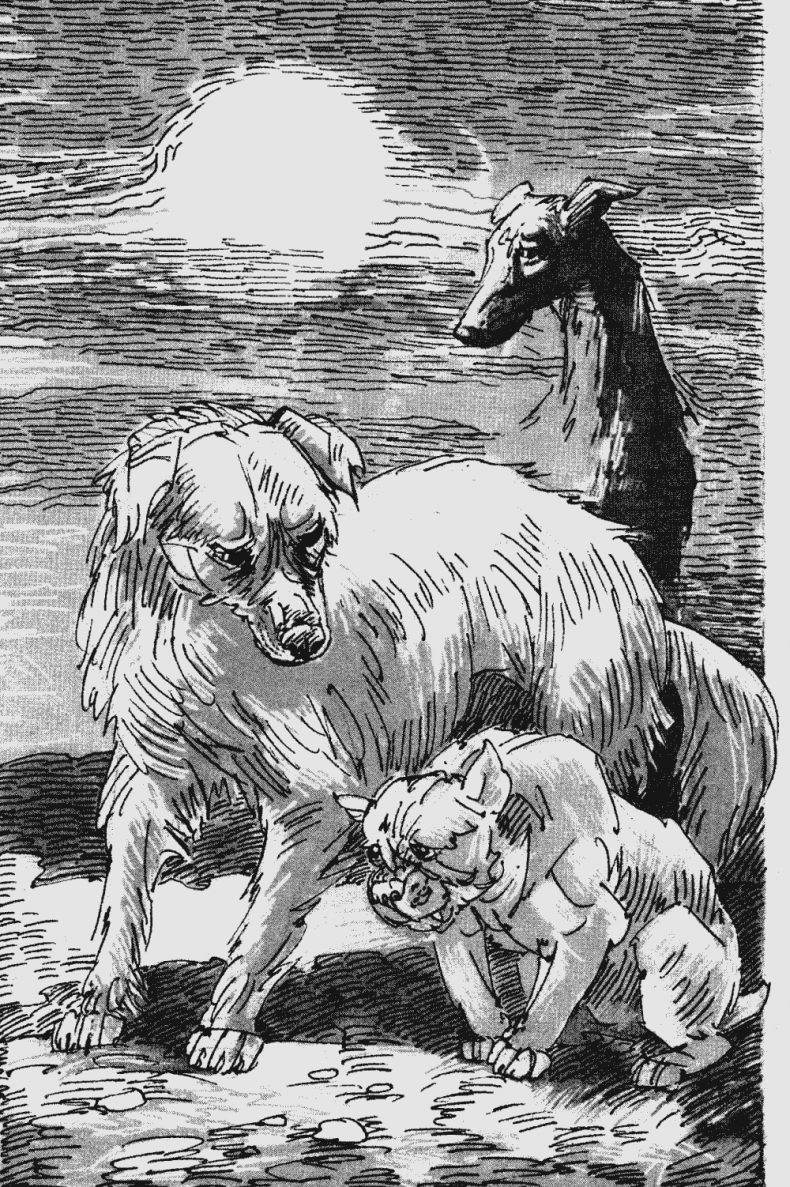 Иллюстрация к книге — Бескрайнее Озеро [i_011.jpg]