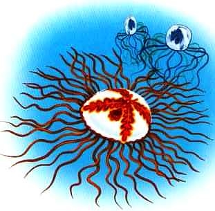 Иллюстрация к книге — В морях и океанах [i_014.jpg]