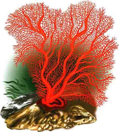 Иллюстрация к книге — В морях и океанах [i_018.jpg]