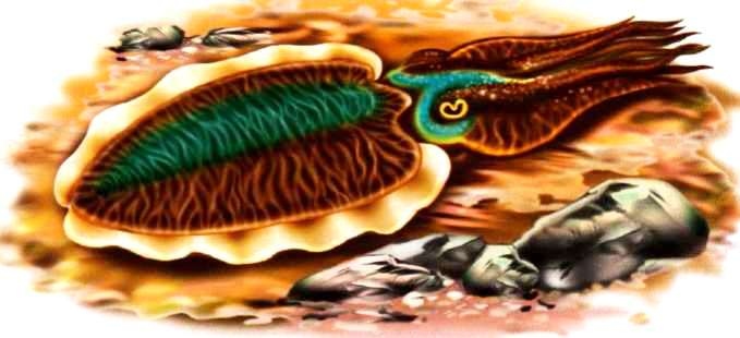 Иллюстрация к книге — В морях и океанах [i_034.jpg]