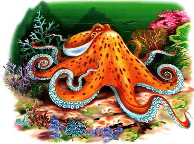 Иллюстрация к книге — В морях и океанах [i_035.jpg]