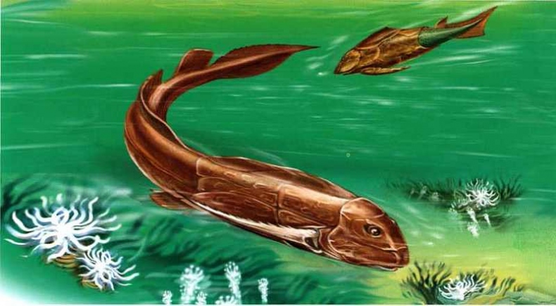 Иллюстрация к книге — В морях и океанах [i_046.jpg]