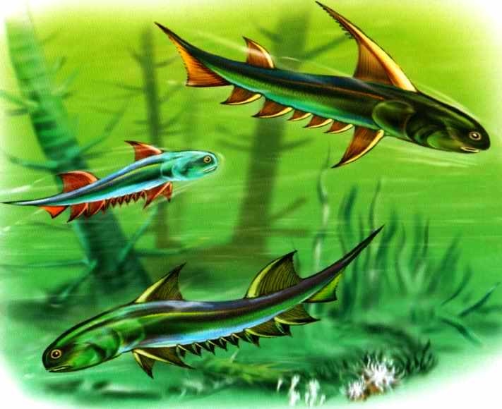 Иллюстрация к книге — В морях и океанах [i_047.jpg]