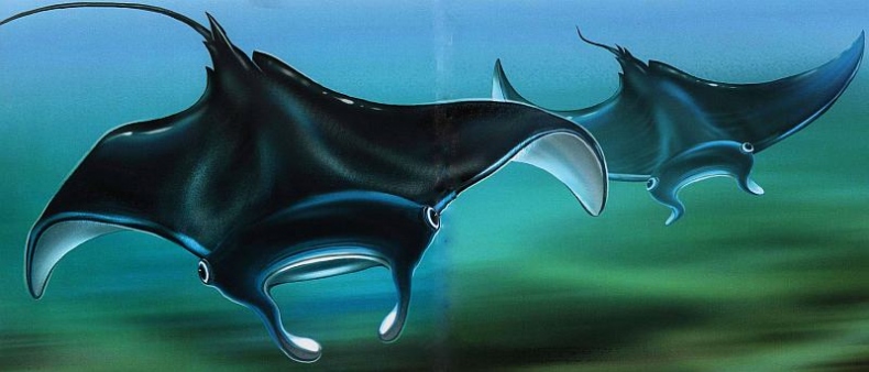 Иллюстрация к книге — В морях и океанах [i_055.jpg]