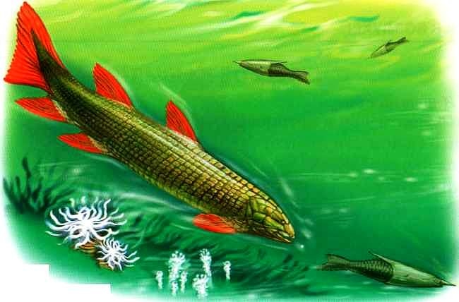 Иллюстрация к книге — В морях и океанах [i_059.jpg]