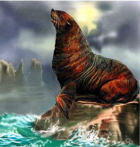 Иллюстрация к книге — В морях и океанах [i_063.jpg]