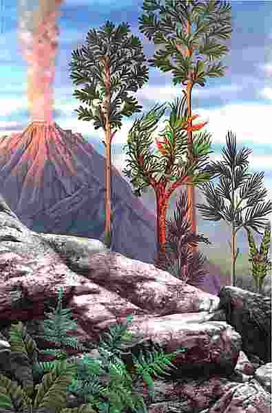 Иллюстрация к книге — Цветы [i_002.jpg]