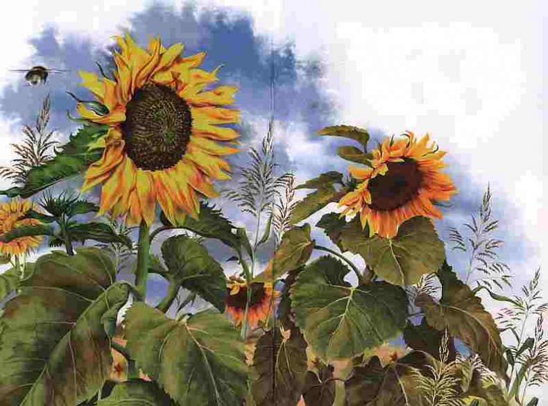 Иллюстрация к книге — Цветы [i_020.jpg]