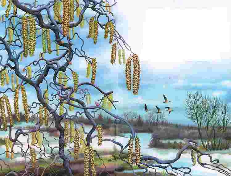 Иллюстрация к книге — Цветы [i_032.jpg]