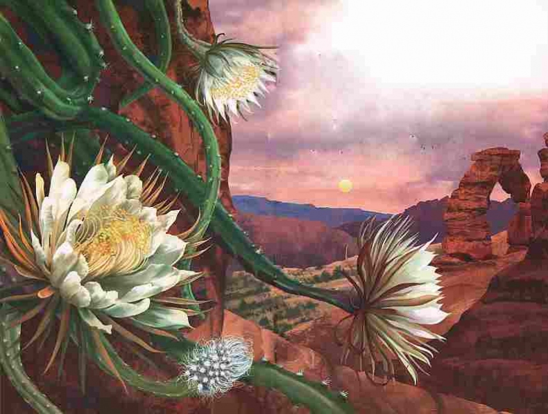 Иллюстрация к книге — Цветы [i_052.jpg]