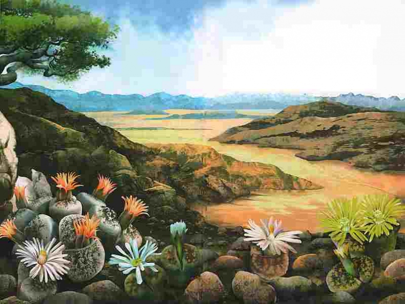 Иллюстрация к книге — Цветы [i_059.jpg]